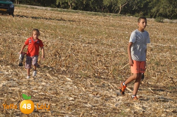 7amam lud monir 908 (66).JPG